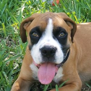 Meet your Posher, Edgar